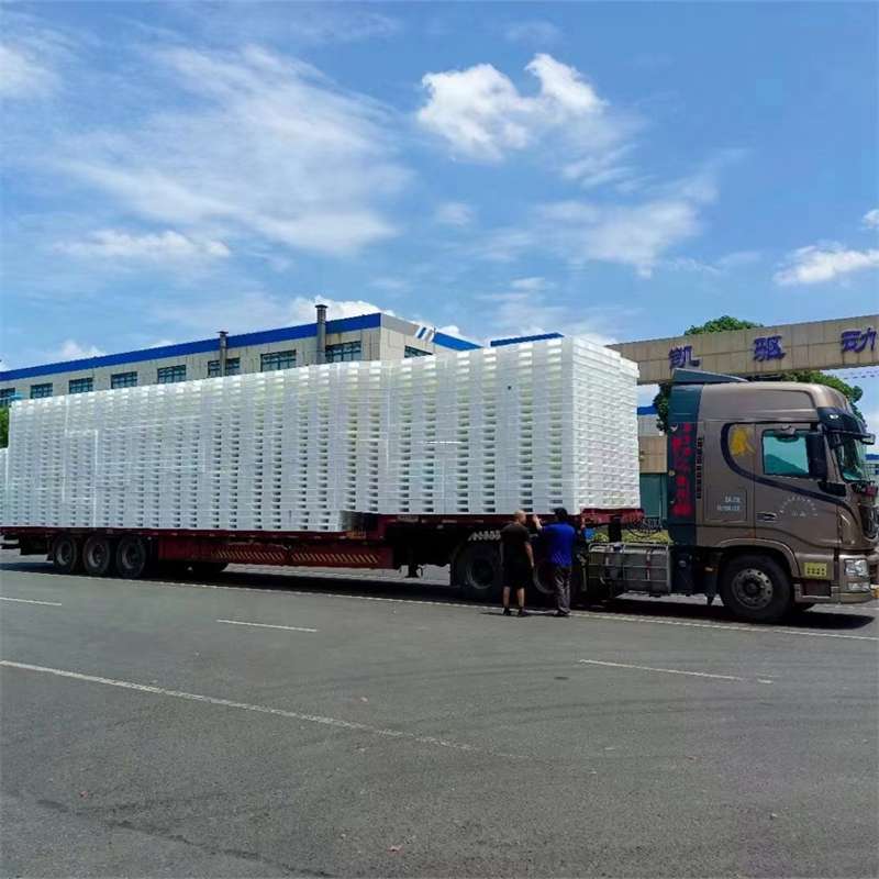 河北衡水饶阳县到玉林物流公司——一站式服务，让货运更轻松（玉林专线物流）